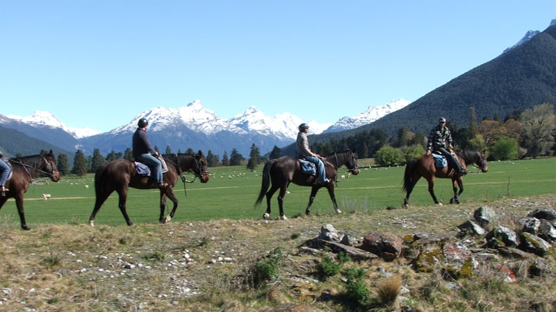 The Rees River Trail is a three-hour horse ride taking you from our stables in Glenorchy into the stunning Rees Valley.